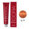 Coloração Igora Royal 8.77 Louro Claro Cobre Extra