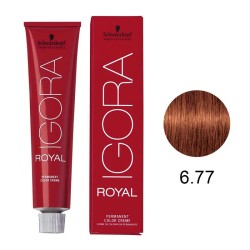 Coloração Igora Royal 6.77 Louro Escuro Cobre Extra