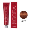 Coloração Igora Royal 6.77 Louro Escuro Cobre Extra