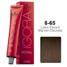 Coloração Igora Royal 6.65 Louro Escuro Marrom Dourado