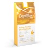 Depilflax Folhas Prontas Depilação Facial Natural 24 Folhas